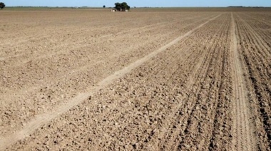 Julio 2024 fue histórico por la falta de lluvias en la zona núcleo