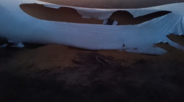 Robaron 13 toneladas de soja a un dirigente de Carbap en Junín