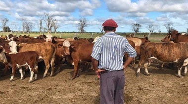 El RENATRE lanzó nuevo canal de denuncias anónimas a través del WhatsApp