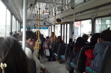 Declaran la emergencia en el transporte extraurbano en Junín