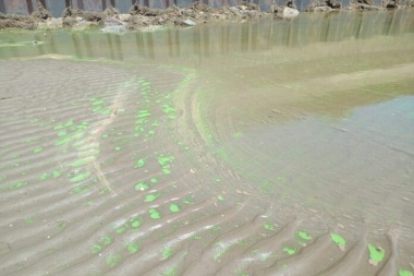 Alerta sanitaria por cianobacterias en ocho municipios bonaerenses