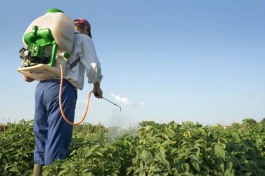 El Ejecutivo de 9 de Julio promulgó ordenanza sobre fitosanitarios