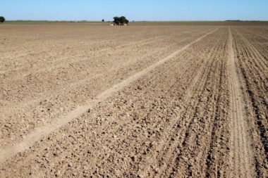Julio 2024 fue histórico por la falta de lluvias en la zona núcleo
