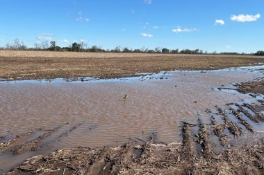 Los productores agropecuarios son cautos en cuanto a futuras condiciones climáticas