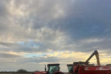 Estiman que la recaudación por retenciones al agro creció un 80% este año