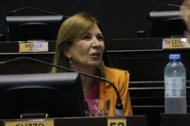 Insólito proyecto de diputada por la cuarta para declarar al inodoro como "un lugar para la paz"