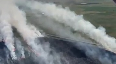 Varias dotaciones de cuarteles de bomberos combatieron durante 10 horas un incendio forestal