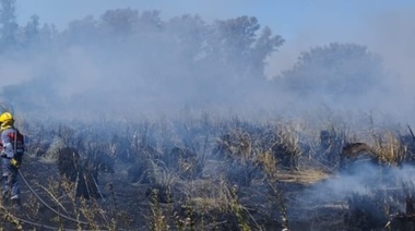 Preocupan incendios forestales en la región: otro de magnitud en Naón