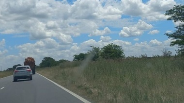 "Estamos viendo un nivel de abandono extremo y peligroso", dijo Gentile