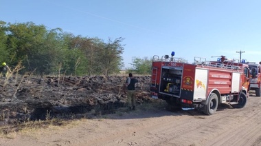 Incendio forestal quemó postes de electricidad y provocó inconvenientes