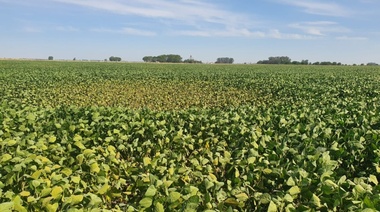 Titular de Carbap alertó por la sequía y "el saqueo" de las retenciones