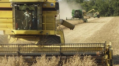 "En 20 años de pagar retenciones desaparecieron 100.000 productores"