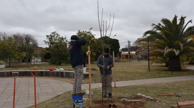 Trenque Lauquen, entre los 15 municipios que más árboles plantó en 2024