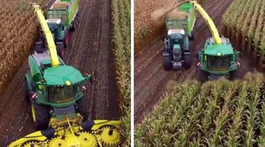 La Rural 9 de Julio advierte "distorsiones" por baja temporal en retenciones