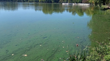 Advierten sobre la presencia de cianobacterias en un parque nuevejuliense