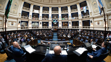 Diputados BA aprobó proyecto que regula actividad de acompañantes terapéuticos