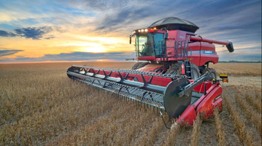 Retenciones: "política agropecuaria no existe en Argentina"