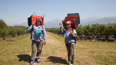 El RENATRE aumenta la prestación por desempleo a $330.000 a partir del 1° de noviembre