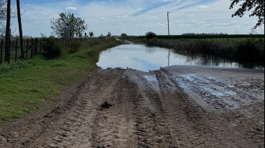 Productores de General Viamonte alertan por el impacto de las lluvias y los caminos rurales anegados