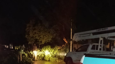 9 de Julio: el Municipio desplegó operativos tras la fuerte tormenta del fin de semana