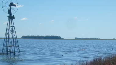 Del déficit a la inundación récord: La inestabilidad climática que pone en jaque la cosecha de Junín y la Provincia