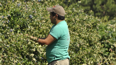 RENATRE aumenta la Prestación por Desempleo a $346.500 a partir del 1° de diciembre