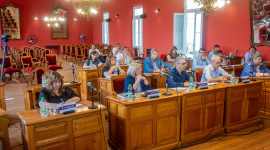 Luz verde del Concejo a la licencia de Petrecca que se va para el Senado