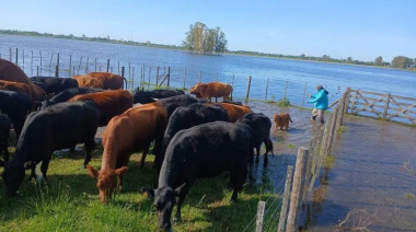 Inundaciones y fondos: También Lincoln y General Viamonte denuncian discriminación del Gobierno nacional