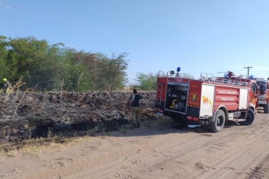 Incendio forestal quemó postes de electricidad y provocó inconvenientes