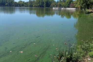 Advierten sobre la presencia de cianobacterias en un parque nuevejuliense