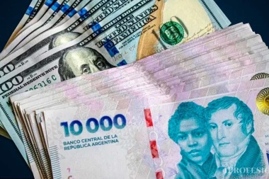 Para el presidente del Colegio de Martilleros de Junín, la bimonetización "es una dolarización"