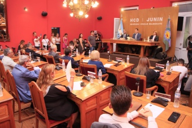 Pulgar abajo de la oposición al discurso de Petrecca ante el Concejo