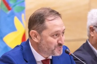 "Ni todo estado, ni estado ausente", expresó Serenal ante el Concejo