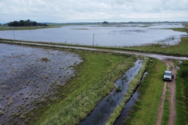 Miranda insistió a provincia por la emergencia agropecuaria ante inundaciones