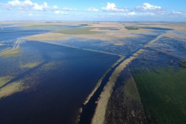 Dos distritos de la cuarta ingresaron en emergencia agropecuaria en PBA