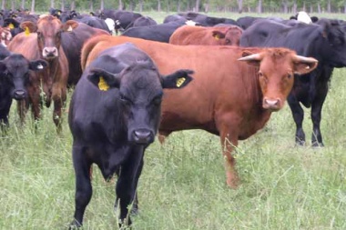 Desde la cuarta critican medida del gobierno que impacta en la carne