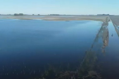 Productores de 9 de Julio alertan sobre ingreso de agua desde Bolívar