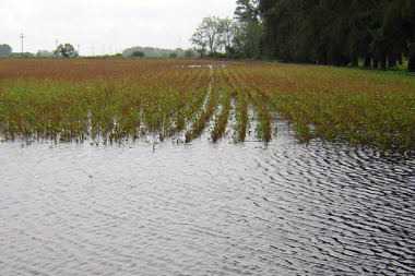 El drama de las inundaciones golpea al noroeste bonaerense