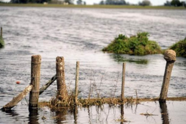 Carbap evidencia impacto de inundaciones en el noroeste bonaerense