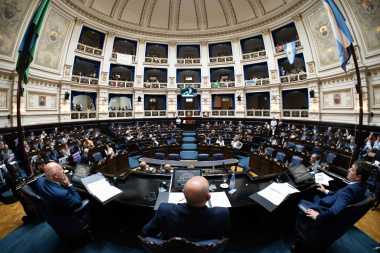 Diputados BA aprobó proyecto que regula actividad de acompañantes terapéuticos