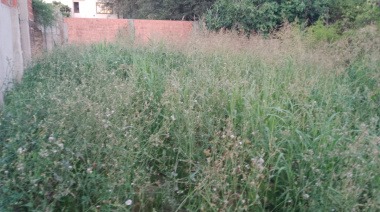 Baldíos, piletas y bromatología: Junín endurece las multas por falta de limpieza y derroche de agua