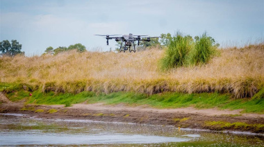 Nuevos operativos contra el barigüí en Junín con aplicación de BTI y uso de drones