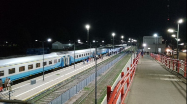 Gatos y perros podrán viajar en tren desde y hacia Junín y Bragado