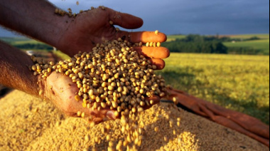 “No a UPOV 91”: CARBAP desafía al Gobierno y pide una Ley de Semillas sin imposiciones externas