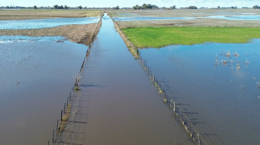 Piden informes por el impacto de las lluvias y el avance del exceso hídrico en el interior