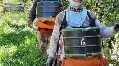 El RENATRE actualizó la Prestación por Desempleo y alcanza el monto máximo en $374.954