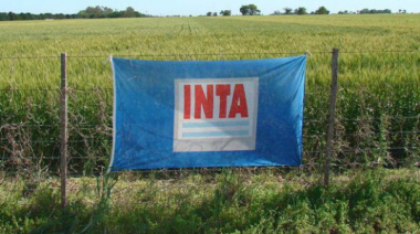 La motosierra llegó al INTA en la cuarta y cierra la agencia de Vedia