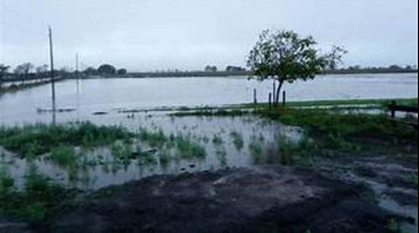 Sancionan a una empresa de 9 de Julio por una obra hidráulica clandestina en Carlos Casares