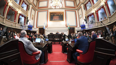 El rol de los legisladores de la cuarta en las comisiones del Senado