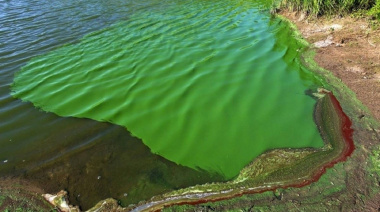 Cianobacterias: hay alerta naranja en cinco municipios de la cuarta sección